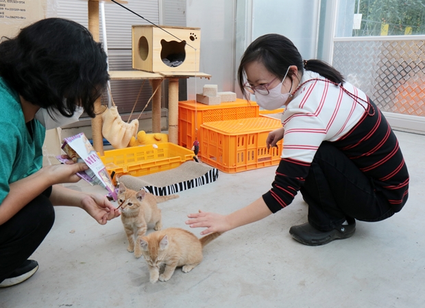 함께 행복을 나눌 친한 동료도 생겼습니다.