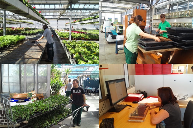 독일 리베나우 발달장애인 작업 모습. 사진=최미영 실장