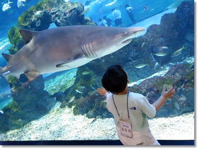 눈앞에 지나가는 거대한 바다생물에 감탄하는 도연이