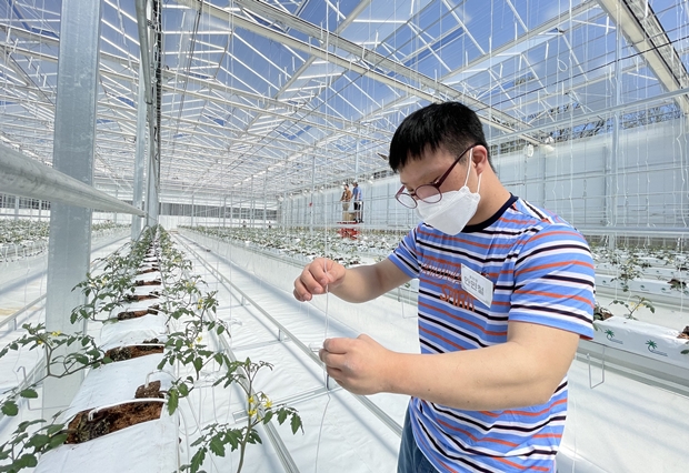 온실 직무를 배우고 있는 훈련생 민철씨. 지난 5월에 어엿한 정직원이 되었습니다.