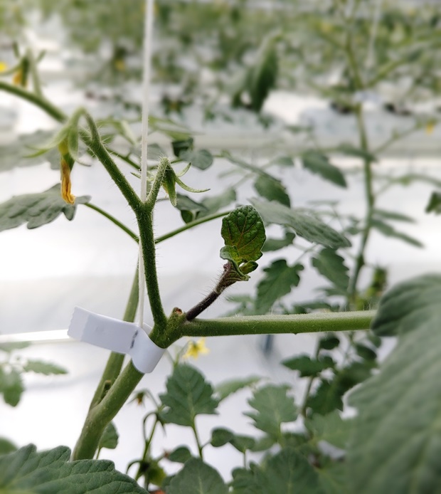 실수했다고 해서 큰 문제는 아닙니다. 조금 느리게 갈 뿐입니다.