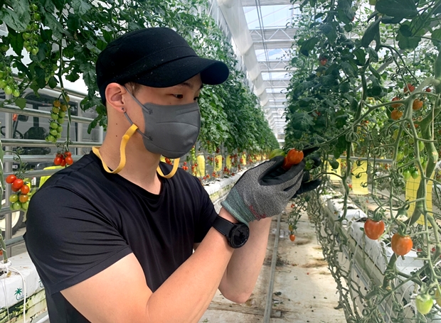 푸르메소셜팜 온실에서 일하고 있는 효진 씨