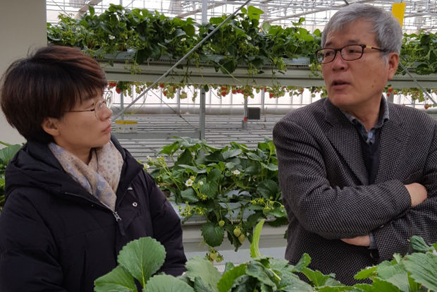 농장에 대해 설명하는 그린플러스 이상화 부사장