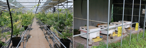 서울농원의 주요 사업인 식물 재배와 양봉업 등은 발달장애인 근로자 각각의 속도와 개성을 품어준다.